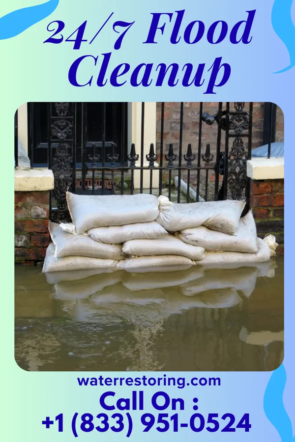 24/7 Flood Cleanup in Buenaventura Lakes, FL