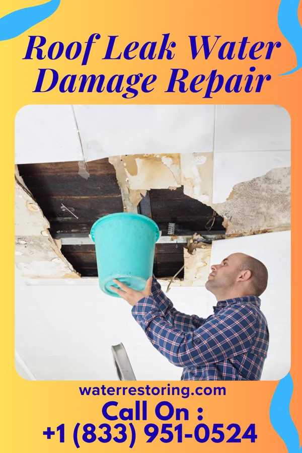 Roof Leak Water Damage Repair in Buenaventura Lakes, FL