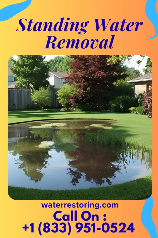 Standing Water Removal in Buenaventura Lakes, FL